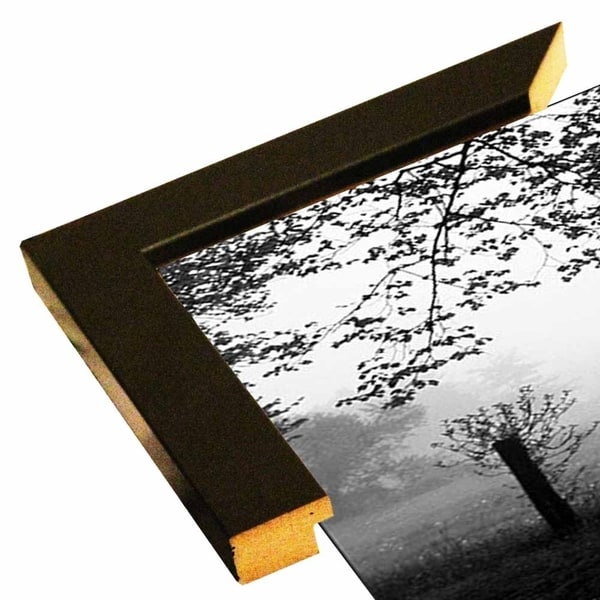 Slim View Plate #5-HARTRE50447 Print 6.25"x17.25" by Harold Silverman - Trees & Old Fences
