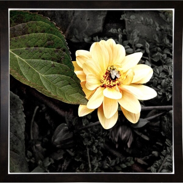 #3 Special Garden-HARFLO74257 Print 20"x20" by Harold Silverman - Flowers