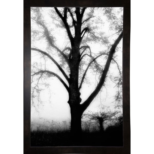 Textures In Shadows-HARTRE61321 Print 25"x16.75" by Harold Silverman - Trees & Old Fences