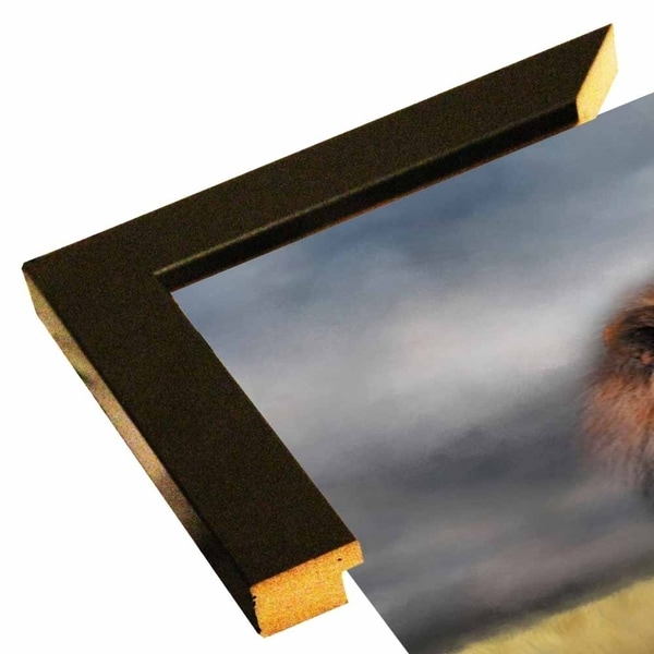 Lion Waiting For The Storm-JAIJOH141815 Print 13.25"x20" by Jai Johnson