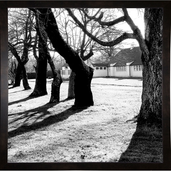 Shadows Of The Morning-HARTRE86844 Print 20"x20" by Harold Silverman - Trees & Old Fences