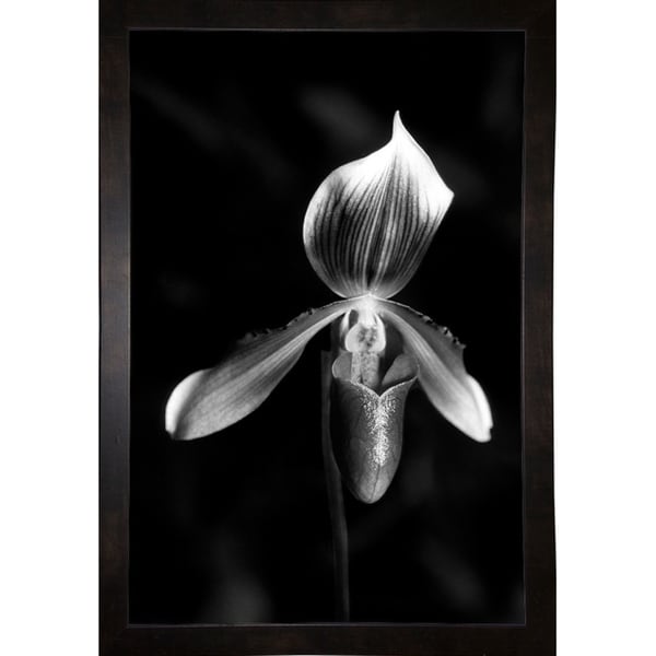 Plate 2-HARFLO58530 Print 18"x12" by Harold Silverman - Flowers