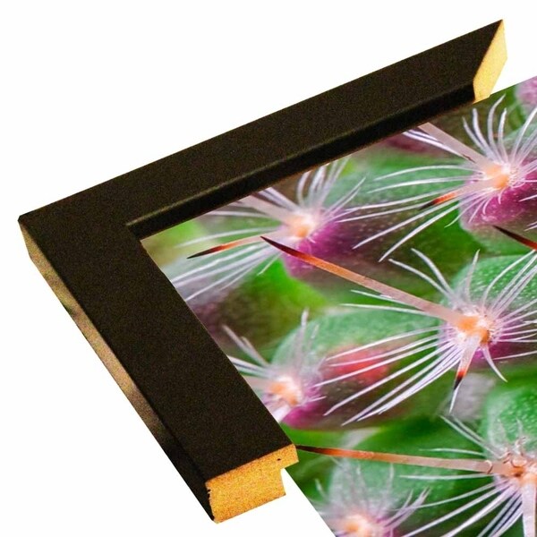Cactus II-JANSUL114707 Print 10"x16" by Janice Sullivan