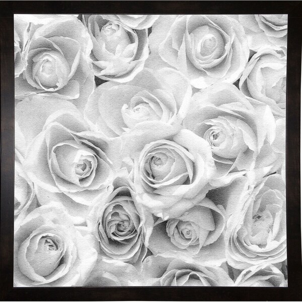 Nyv #102 Rose Garden B & W-HARFLO81705 Print 18"x18" by Harold Silverman - Flowers