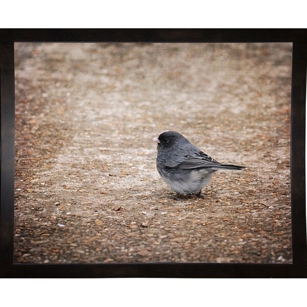 Tiny Junco in a Big World-JAIJOH139931 Print 10.75"x13.25" by Jai Johnson