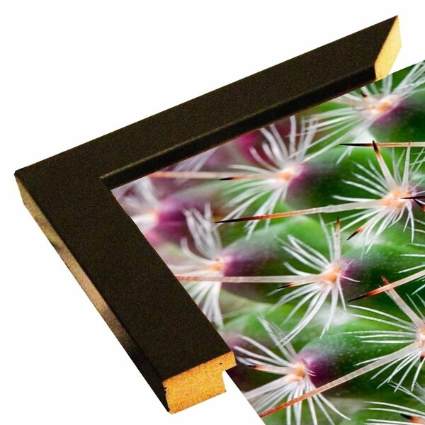 Cactus I-JANSUL114706 Print 11.25"x14" by Janice Sullivan