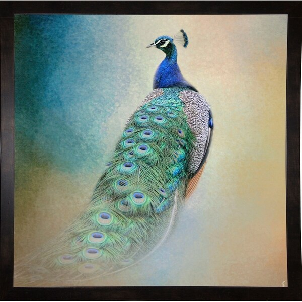 Peacock 4-JAIJOH139843 Print 20"x20" by Jai Johnson