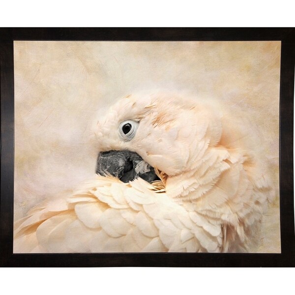 Preening Umbrella Cockatoo-JAIJOH139866 Print 10.75"x13.25" by Jai Johnson