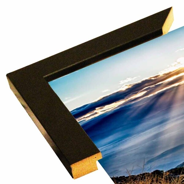 Joshua Trees Sunset-JANSUL113649 Print 18.25"x12" by Janice Sullivan