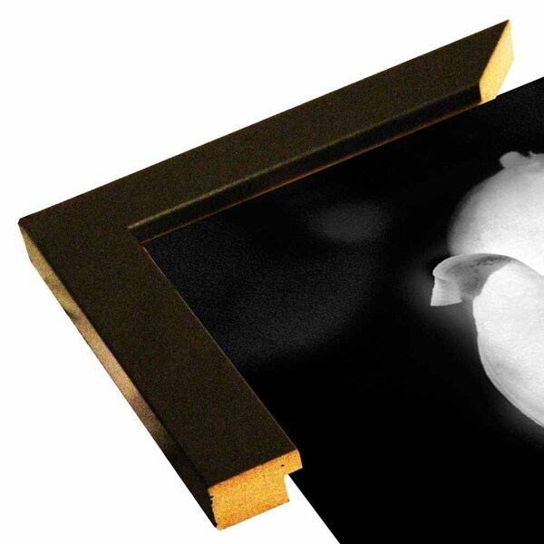The Flower Bud-HARFLO69377 Print 25"x15" by Harold Silverman - Flowers
