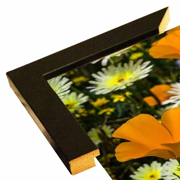 Poppies and Daisies-JANSUL114262 Print 11"x16.5" by Janice Sullivan