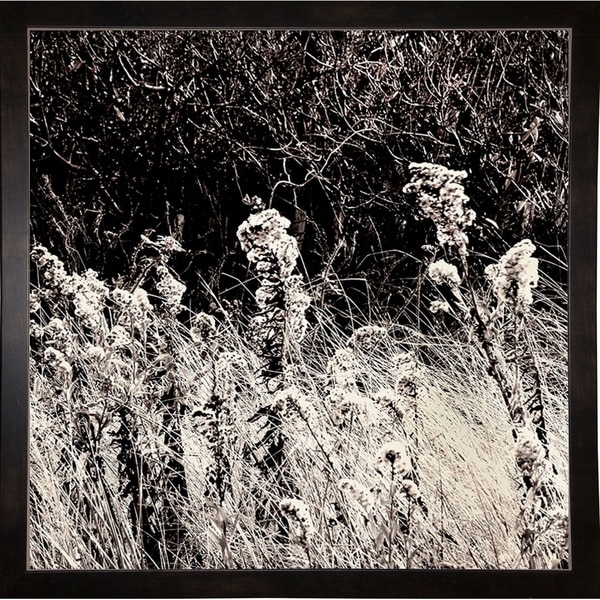 Beach Ridge Plate #7-HARTRE86850 Print 18.25"x18.25" by Harold Silverman - Trees & Old Fences