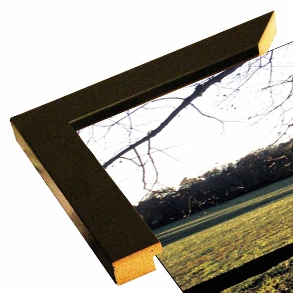 Sundown View-HARTRE55427 Print 8"x18" by Harold Silverman - Trees & Old Fences