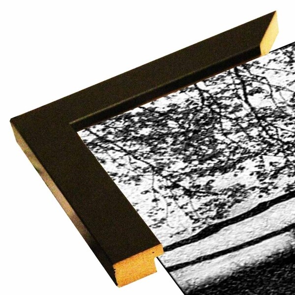 On Frosted Plate #7-HARTRE50448 Print 5"x17.5" by Harold Silverman - Trees & Old Fences