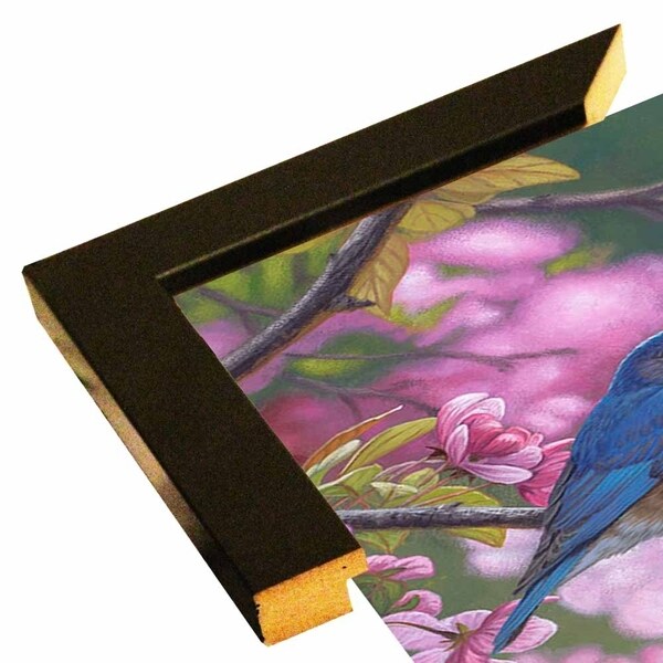 Bluebird Pink Blossoms-JEFHOF137954 Print 20"x10" by Jane Wilson