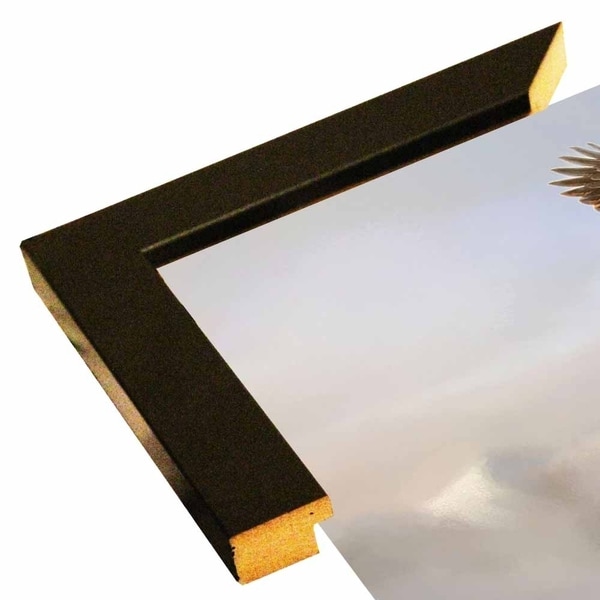 Rise Above Bald Eagle-JAIJOH140365 Print 13.25"x20" by Jai Johnson