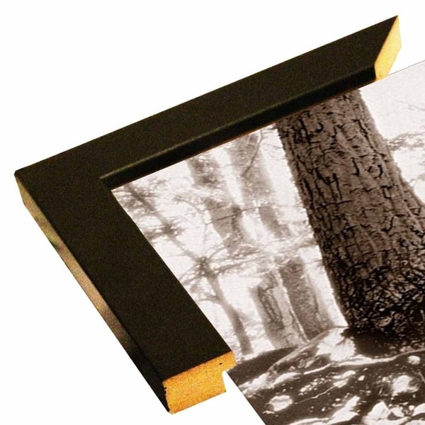 Bear Mtn Park-HARTRE63286 Print 11"x24" by Harold Silverman - Trees & Old Fences