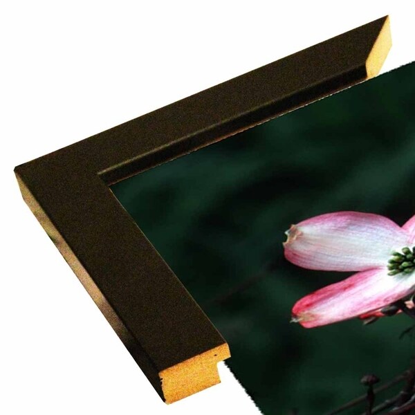 2146_3~1 B-HARFLO50342 Print 10"x17" by Harold Silverman - Flowers