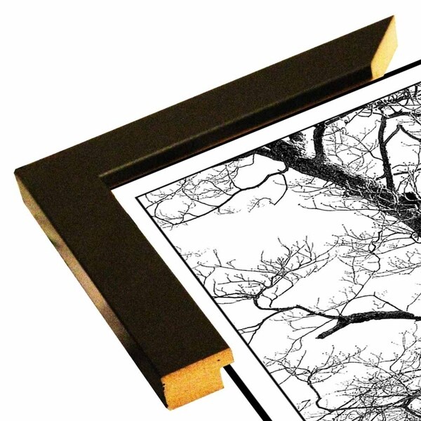Single Tree Design 2-HARTRE86959 Print 27.5"x12.5" by Harold Silverman - Trees & Old Fences