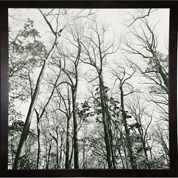 Trees High Woods-HARTRE61311 Print 20"x20" by Harold Silverman - Trees & Old Fences