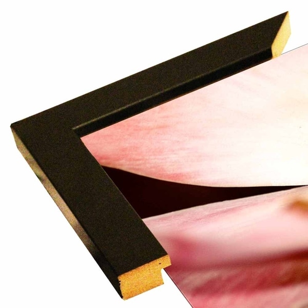 Diffuse Glow-HARFLO74183 Print 16"x27" by Harold Silverman - Flowers