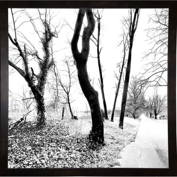 Black And White Square-HARTRE85723 Print 18"x18" by Harold Silverman - Trees & Old Fences