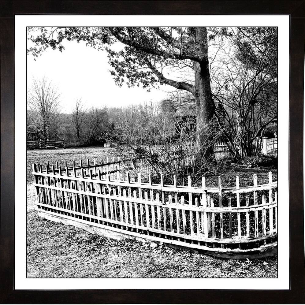 Garden Fence Circa 1865 -HARTRE87169 Print 20"x20" by Harold Silverman - Trees & Old Fences