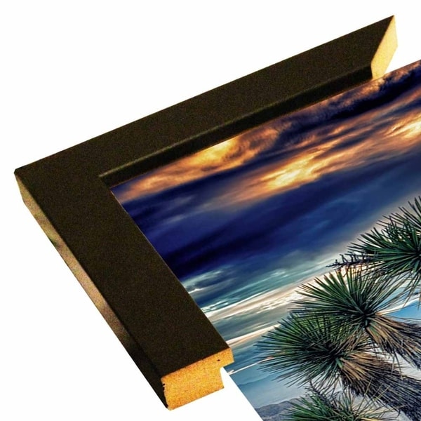 Joshua Tree Sunset-JANSUL113650 Print 14.5"x9.75" by Janice Sullivan