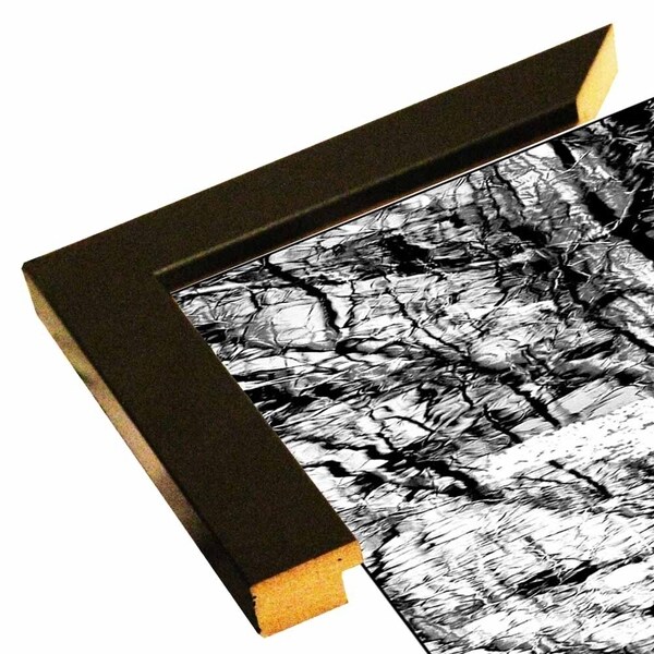 Tree In Reflection And Algea-HARTRE86978 Print 26"x15" by Harold Silverman - Trees & Old Fences