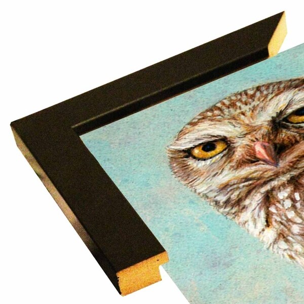 Burrowing Owl-JAMJOH131709 Print 14"x8.25" by James W. Johnson