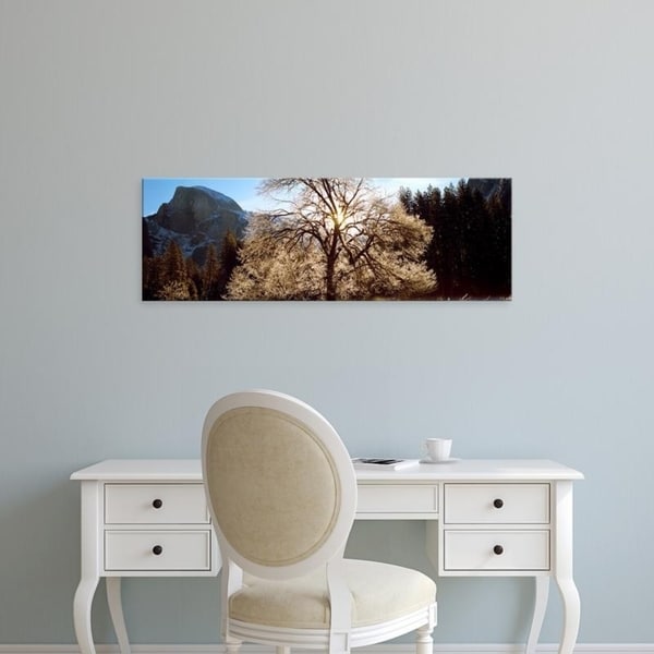 Easy Art Prints Panoramic Images's 'Low angle view of a snow covered oak tree, Yosemite National Park, California' Canvas Art