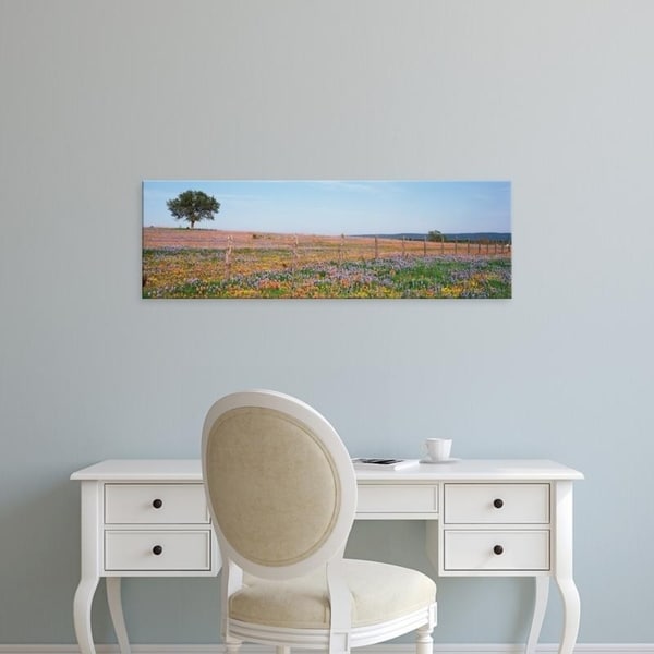 Easy Art Prints Panoramic Images's 'Texas Bluebonnets And Indian Paintbrushes In A Field, Texas Hill Country, Texas' Canvas Art