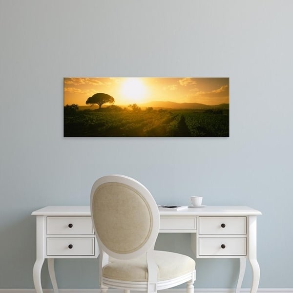 Easy Art Prints Panoramic Images's 'Sunrise over a vineyard, Provence-Alpes-Cote D'azur, France' Premium Canvas Art