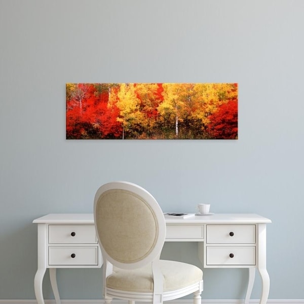 Easy Art Prints Panoramic Images's 'Aspen and Black Hawthorn trees in a forest, Grand Teton National Park, Wyoming' Canvas Art