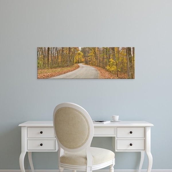 Easy Art Prints Panoramic Images's 'Road passing through a forest, Brown County State Park, Brown County, Indiana' Canvas Art