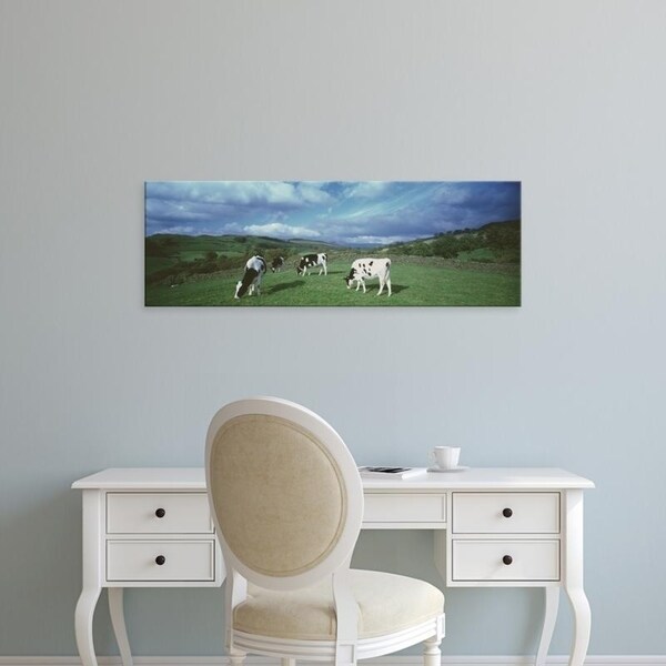 Easy Art Prints Panoramic Images's 'Cows grazing in a field, Lake District, England, United Kingdom' Premium Canvas Art