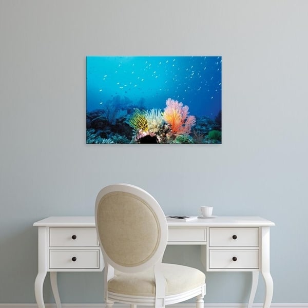Easy Art Prints Panoramic Images's 'Coral Reef and School of Fish, Undersea view' Premium Canvas Art