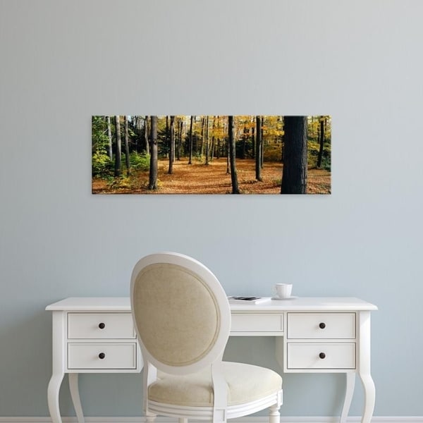 Easy Art Prints Panoramic Images's 'Chestnut Ridge Park Orchard Park NY USA' Premium Canvas Art