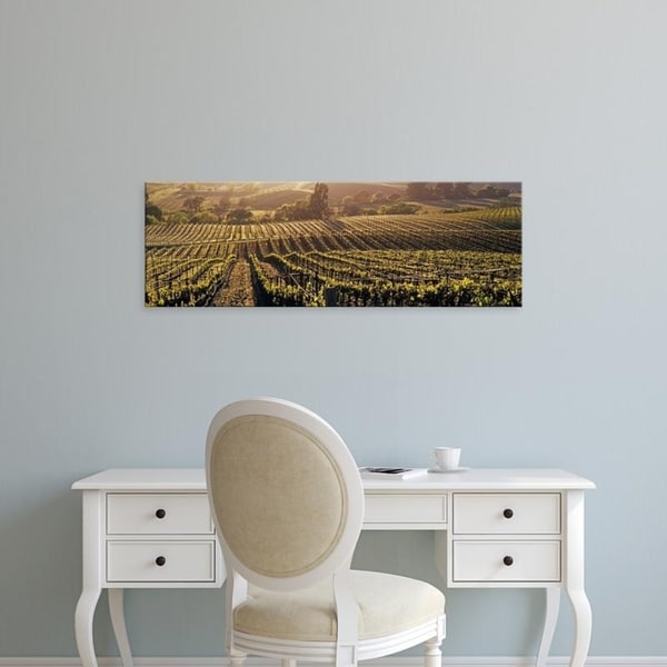 Easy Art Prints Panoramic Images's 'Aerial View Of Rows Crop In A Vineyard, Careros Valley, California, USA' Premium Canvas Art