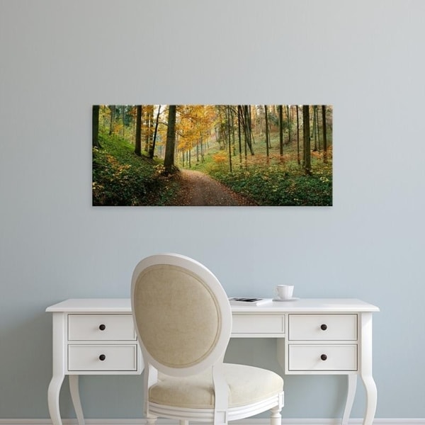Easy Art Prints Panoramic Images's 'Road passing through a forest, Baden-Wurttemberg, Germany' Premium Canvas Art