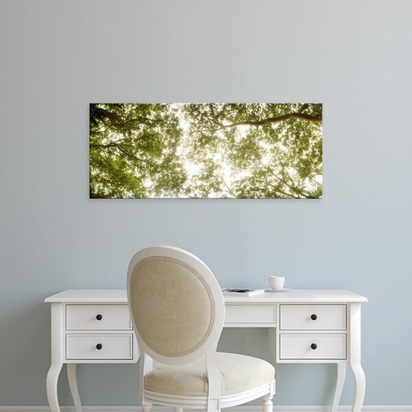 Easy Art Prints Panoramic Images's 'Low angle view of sunlight shining through the trees in summer' Premium Canvas Art