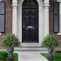 26-Inch Potted Jackson Tree (Set of 2)