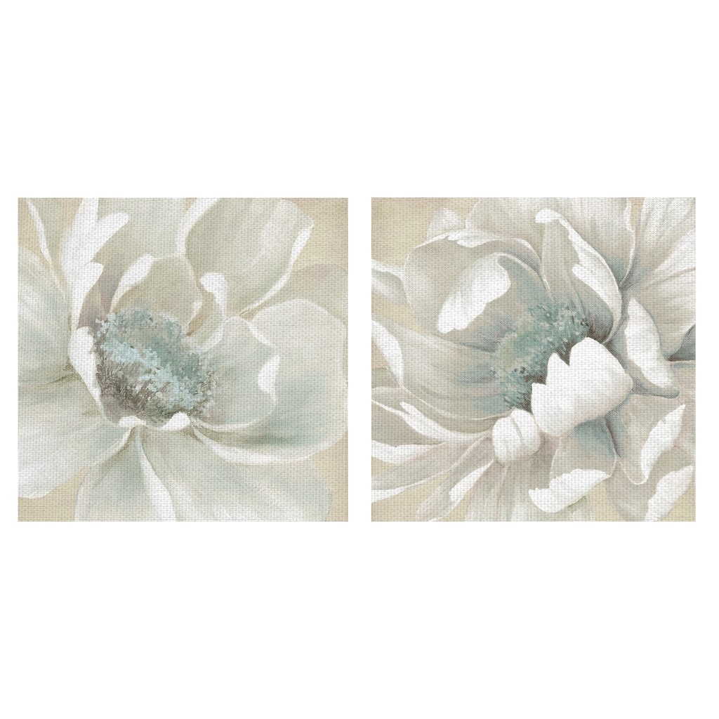 Winter Blooms I & II by Carol Robinson Canvas Art