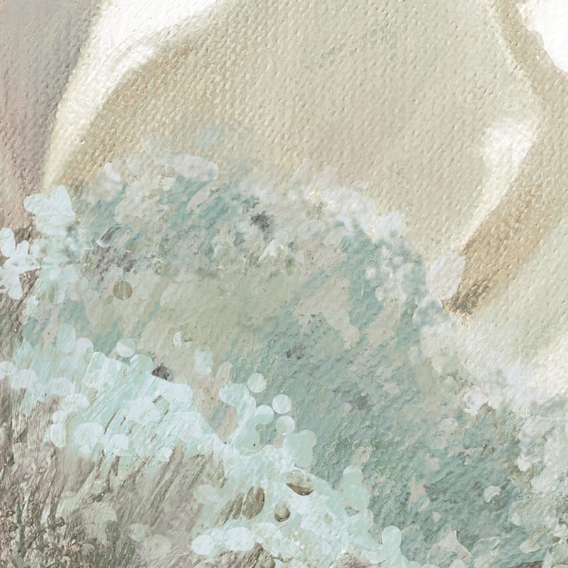Winter Blooms I & II by Carol Robinson Canvas Art
