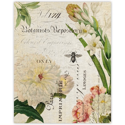 Flower and Bee Botany Collage II by Stacey Powell Wrapped Canvas Art