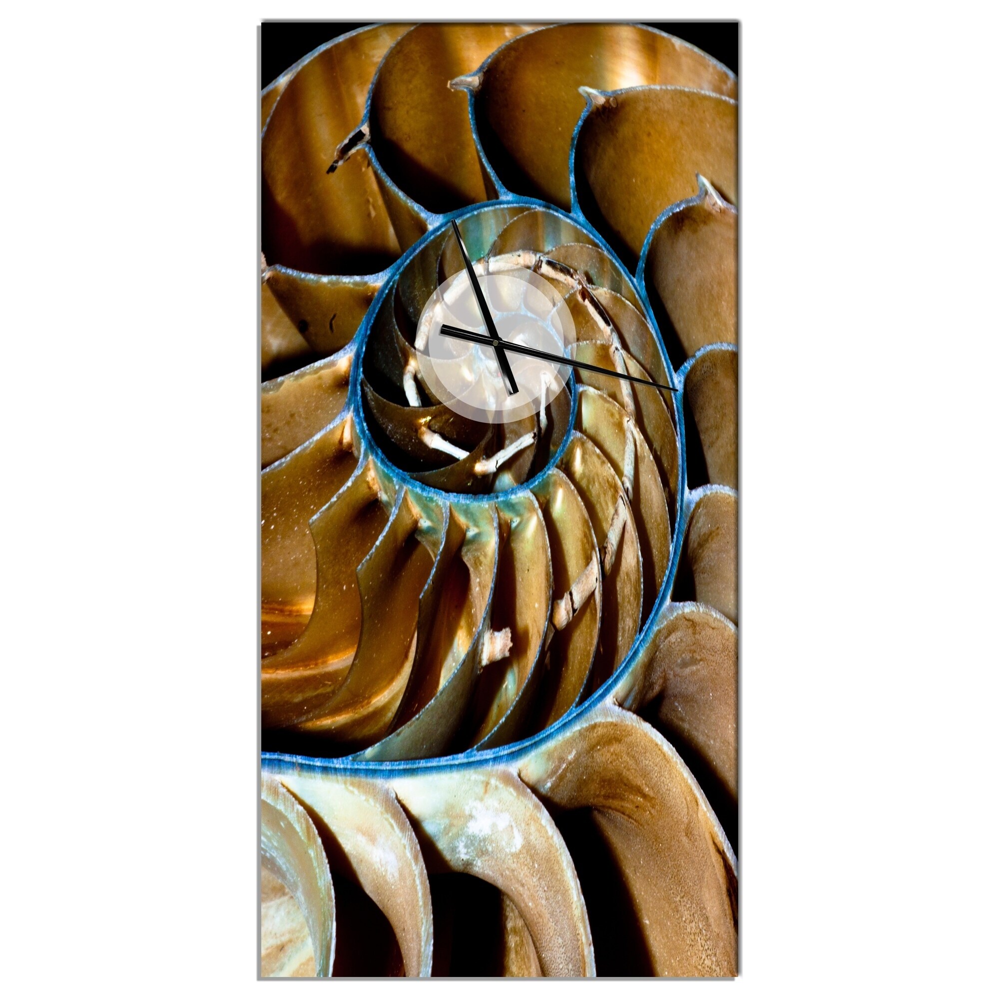 Shop Designart Brown Large Nautilus Shell Oversized Abstract Wall Clock On Sale Overstock 2438 30 In Wide X 40 In High