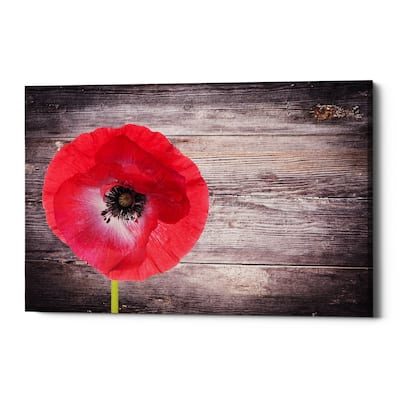 Epic Graffiti "Luxury On Rustic" Giclee Canvas Wall Art, 18"x12"