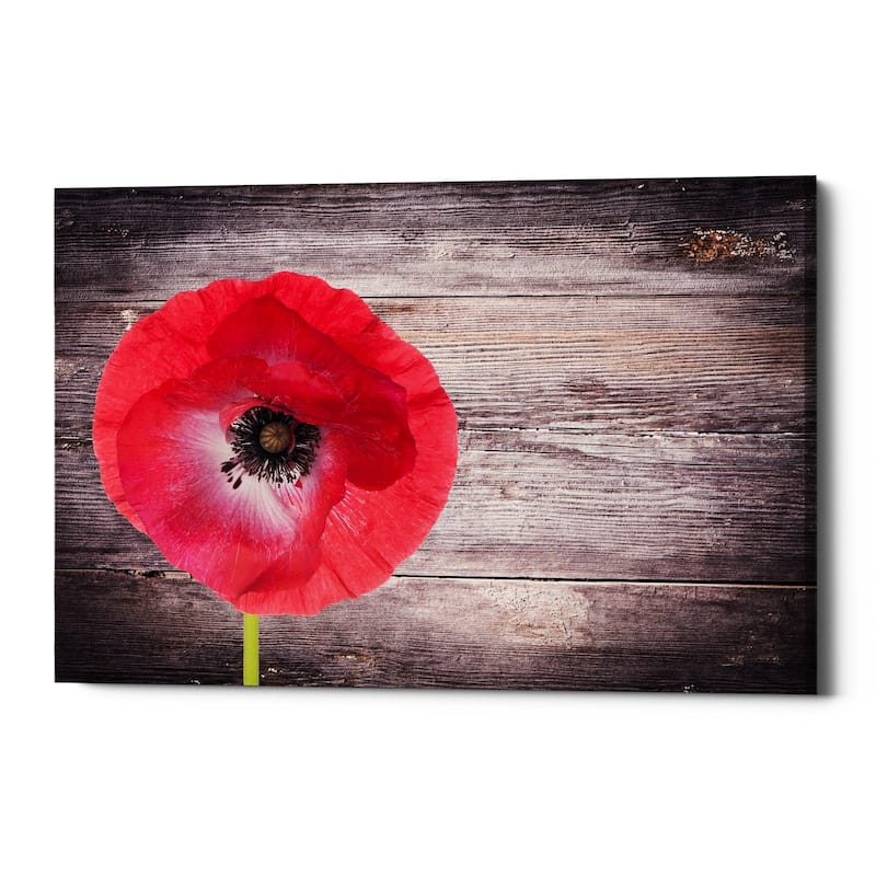 Epic Graffiti "Luxury On Rustic" Giclee Canvas Wall Art, 18"x12"