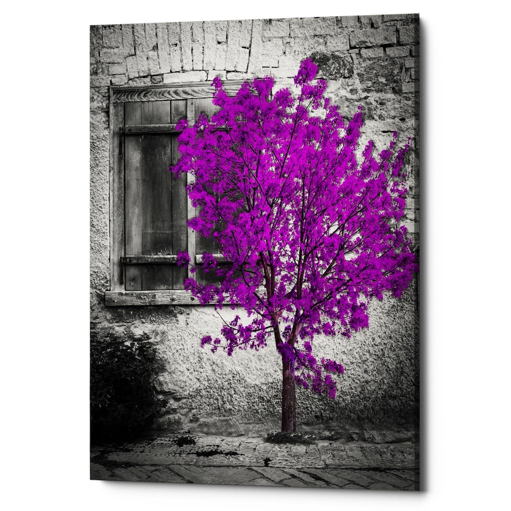 Epic Graffiti "Harmony" Giclee Canvas Wall Art, 12"x16"