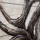 preview thumbnail 3 of 1, White Tail I Oil Painting